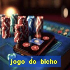 jogo do bicho crash bingo